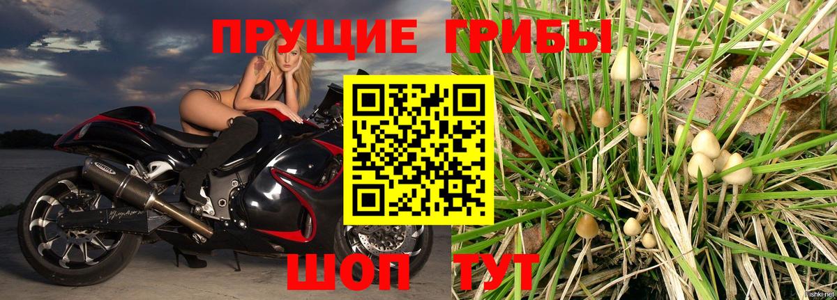 Галлюциногенные грибы мицелий  Вход с VPN  сколько стоит  Ржев 